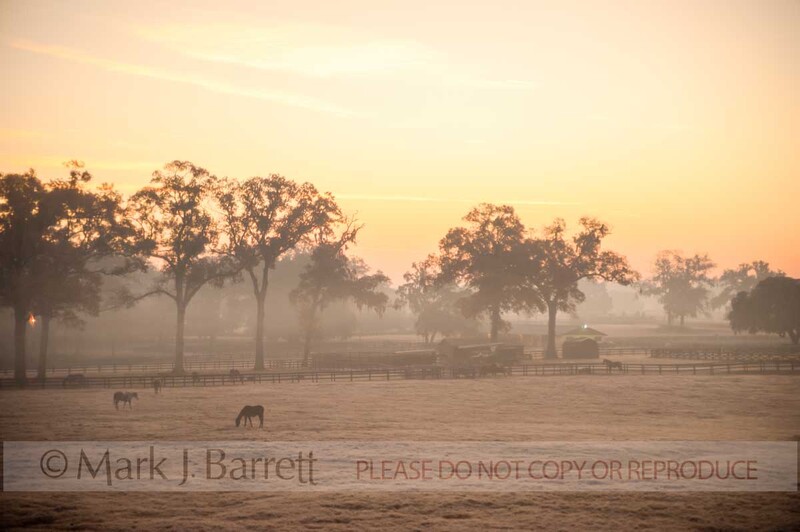 7382-11(1).jpg :: Sunrise over frost covered pasture, Ocala Florida horse farm