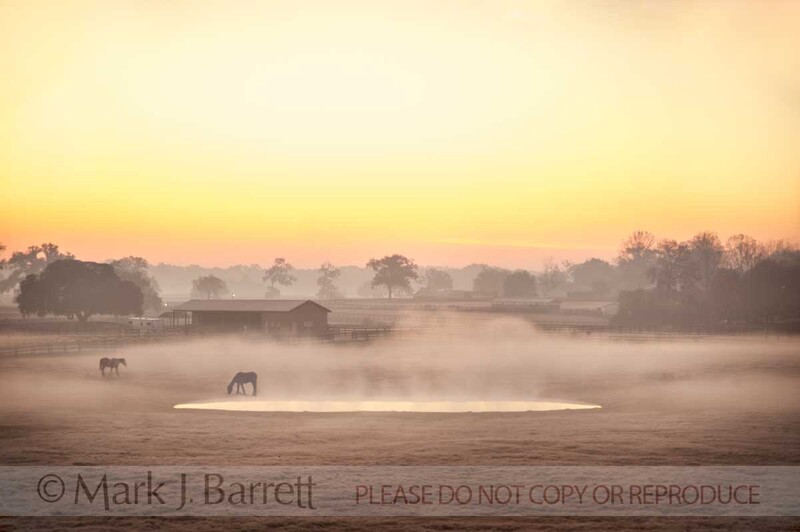 7382-12A(1).jpg :: Sunrise over foggy frost covered horse farm pasture and barns, Ocala Florida