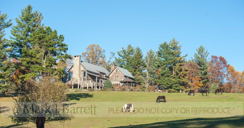 7387-2.jpg :: Estate home with grazing horses