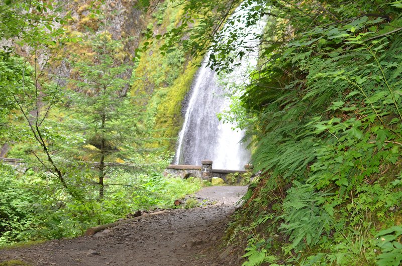 DSC_0066.jpg