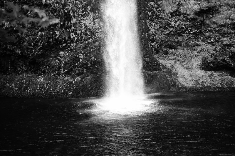DSC_0081-Edit.jpg