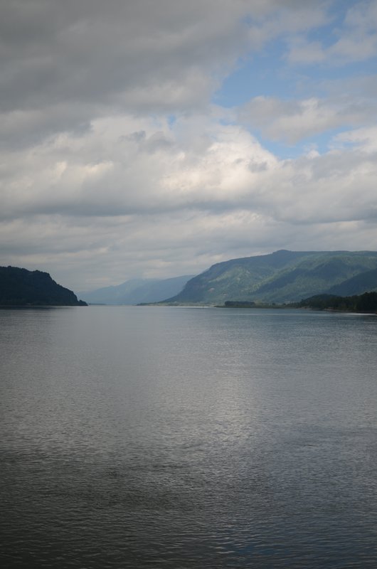 DSC_01411.jpg