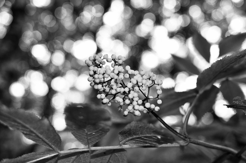 DSC_0182-Edit.jpg