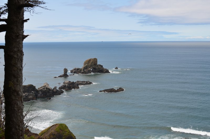 DSC_0184.jpg
