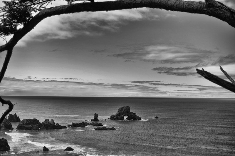 DSC_0202-Edit.jpg