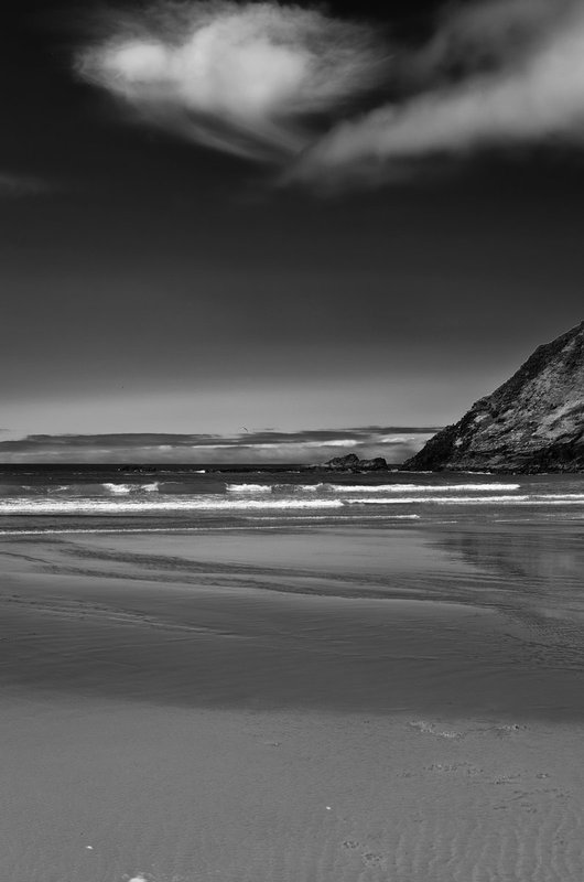 DSC_0214-Edit.jpg
