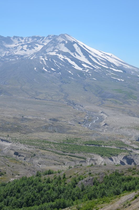 DSC_0312.jpg