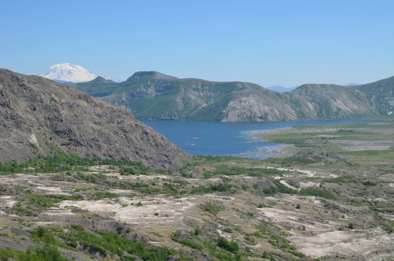 DSC_0335.jpg