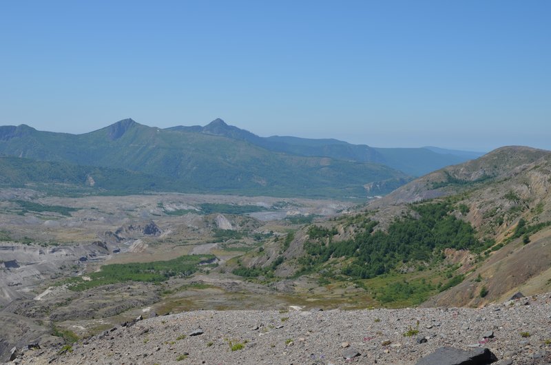 DSC_0336.jpg