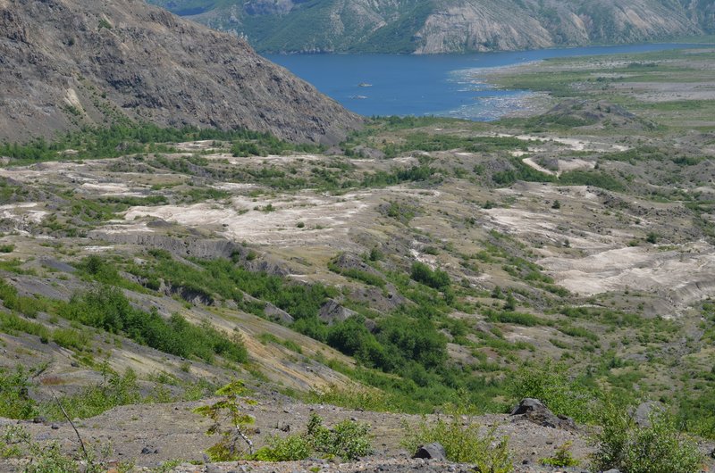 DSC_0338.jpg