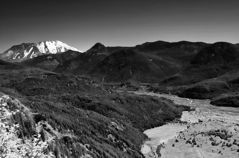 DSC_0351-Edit.jpg