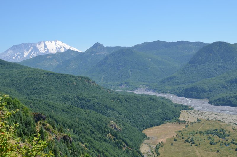 DSC_0351.jpg