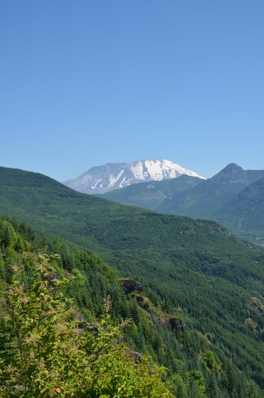 DSC_0353.jpg