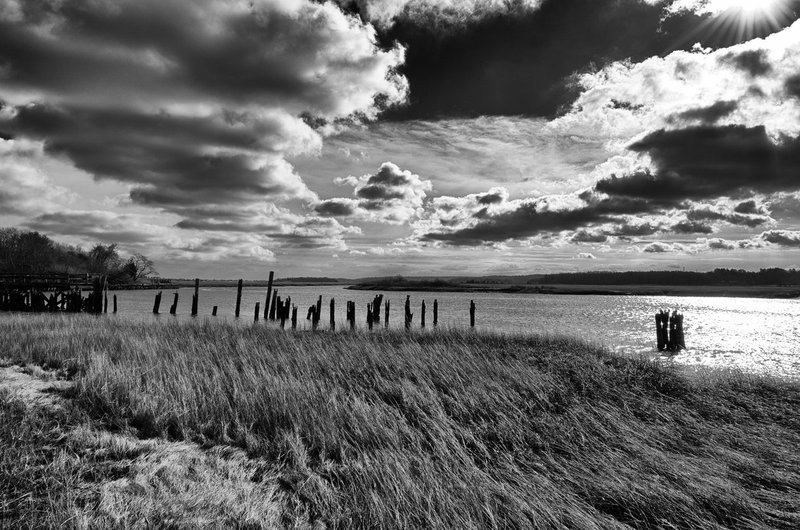 DSC_0637-Edit.jpg