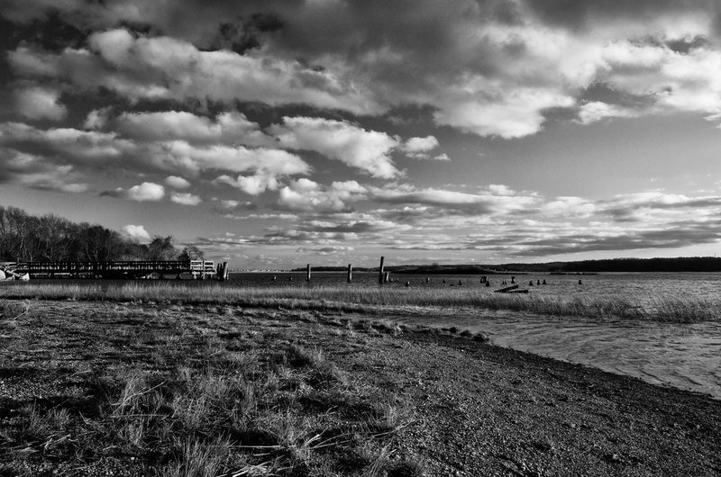 DSC_0649-Edit1.jpg