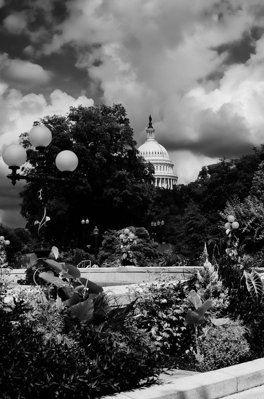 DSC_0657-Edit.jpg