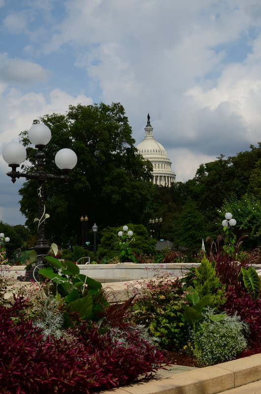 DSC_0657.jpg