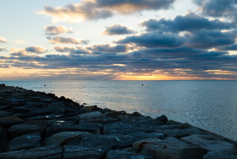 DSC_0695.jpg