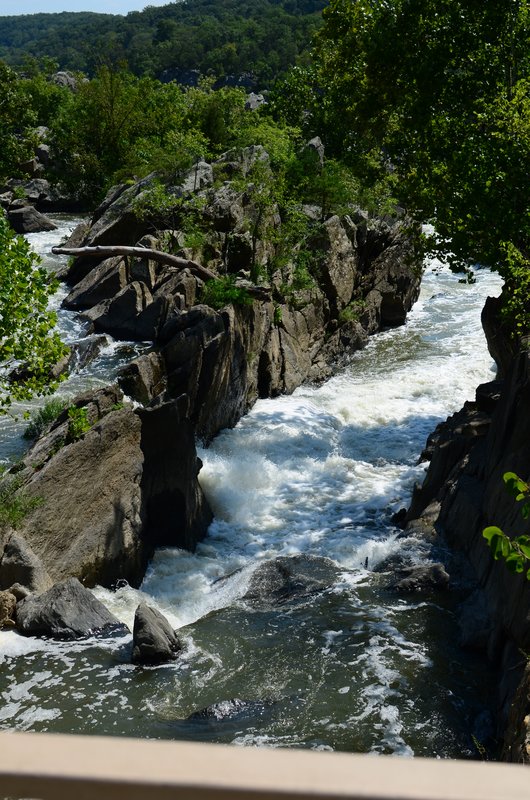 DSC_0710.jpg