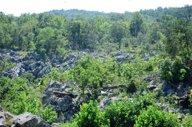 DSC_0723.jpg