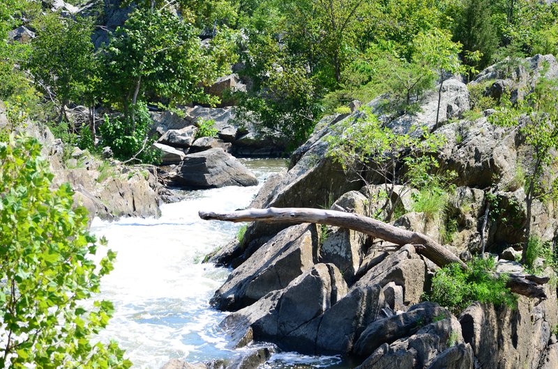 DSC_0727.jpg
