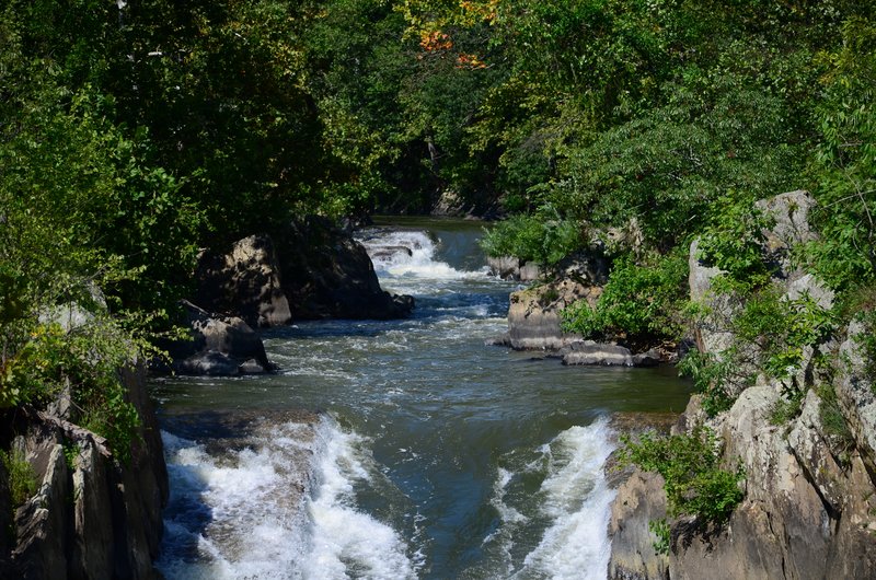 DSC_0729.jpg