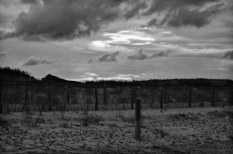 DSC_1119-Edit.jpg
