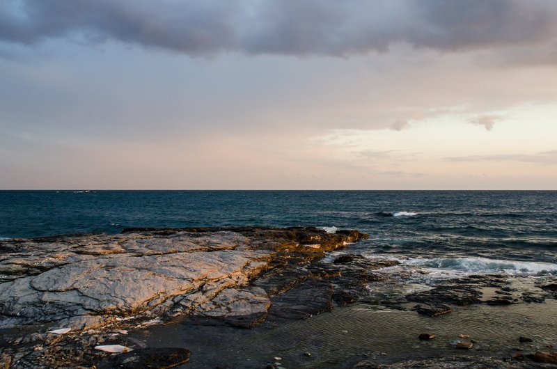 DSC_1186.jpg