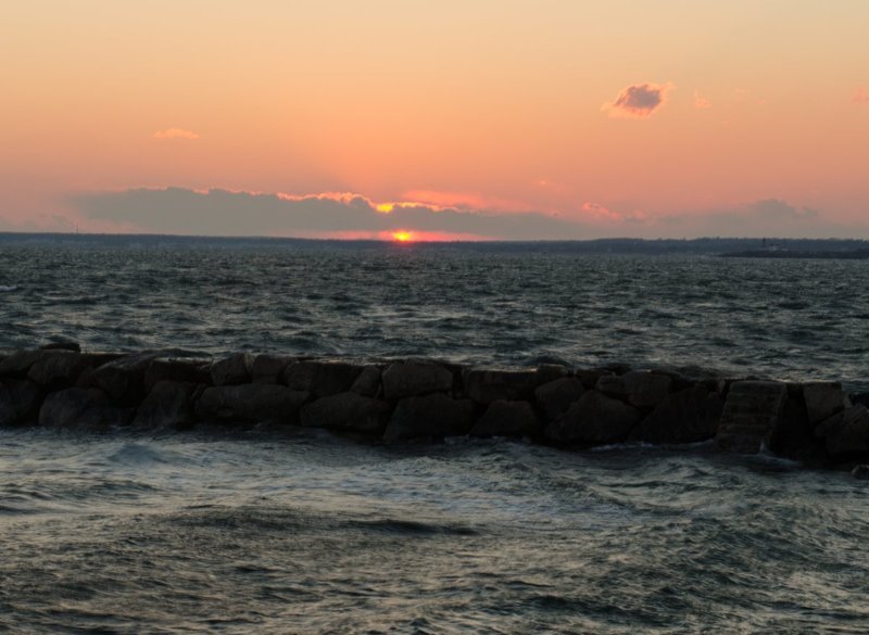 DSC_1219.jpg