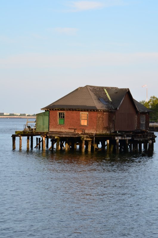 DSC_1577.jpg