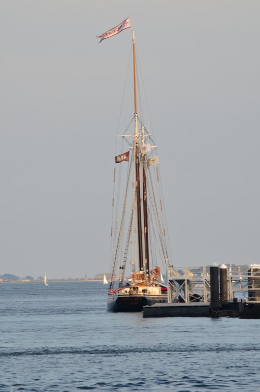 DSC_1587.jpg