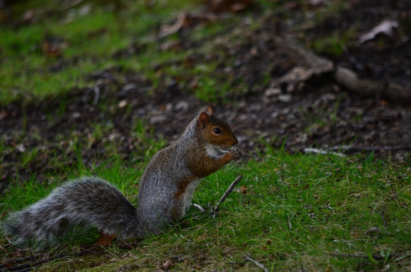 DSC_1643.jpg