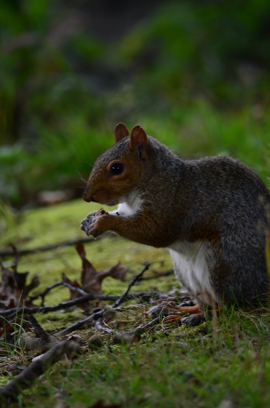 DSC_1651.jpg
