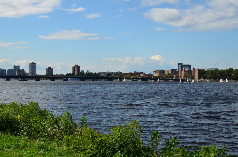 DSC_1669.jpg