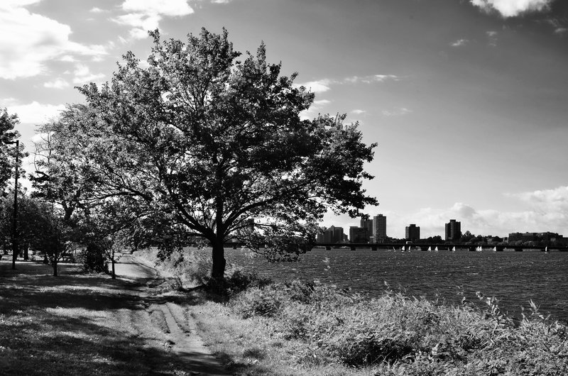 DSC_1676-Edit.jpg