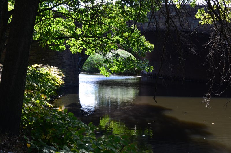DSC_2449.jpg
