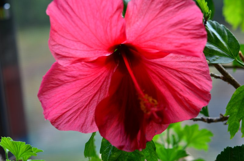 DSC_2892.jpg