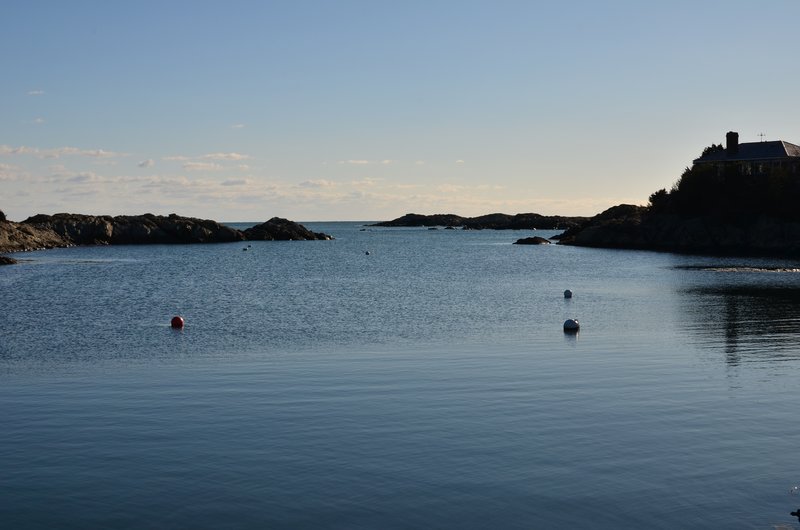DSC_2929.jpg