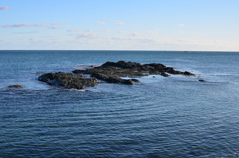 DSC_2943.jpg
