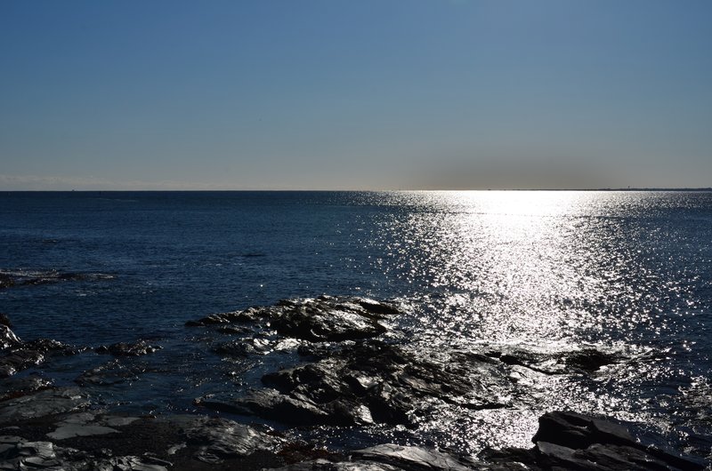 DSC_2965.jpg