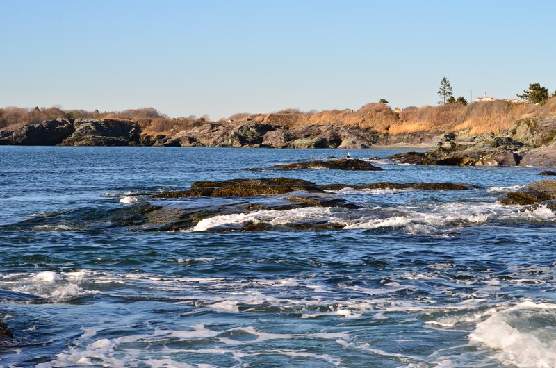 DSC_2992.jpg