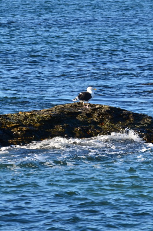 DSC_2998.jpg