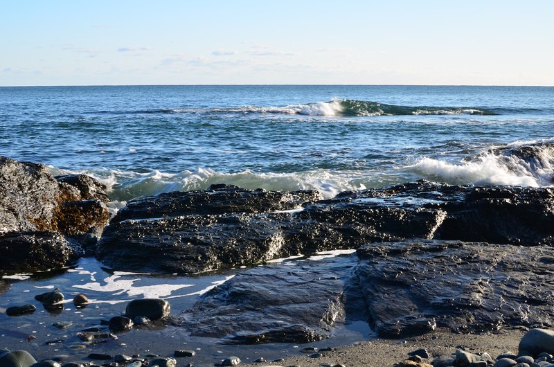 DSC_3009.jpg