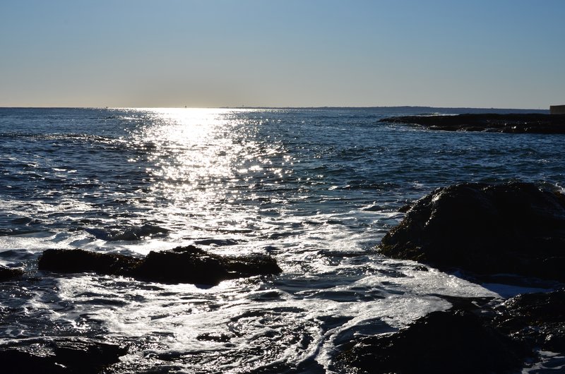 DSC_3042.jpg