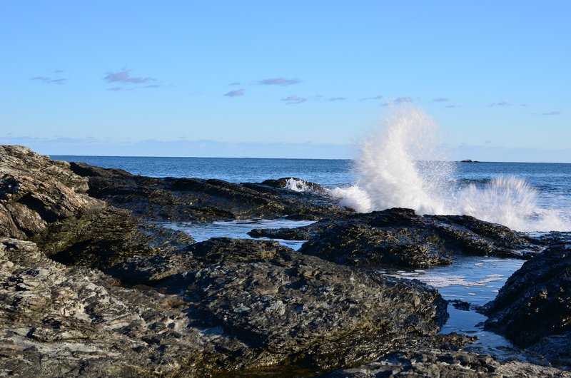 DSC_3049.jpg