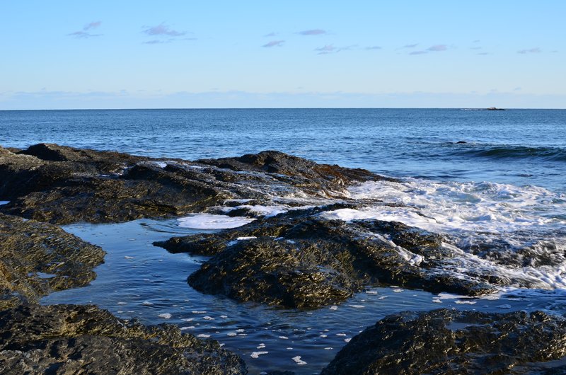 DSC_3053.jpg