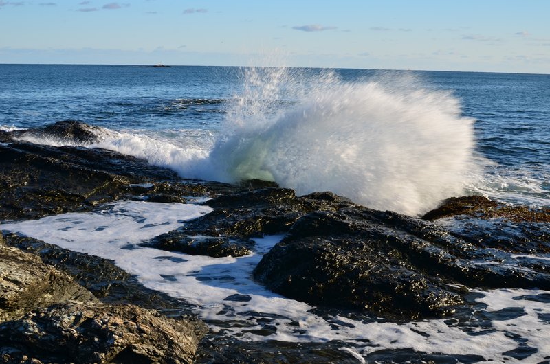 DSC_3062.jpg