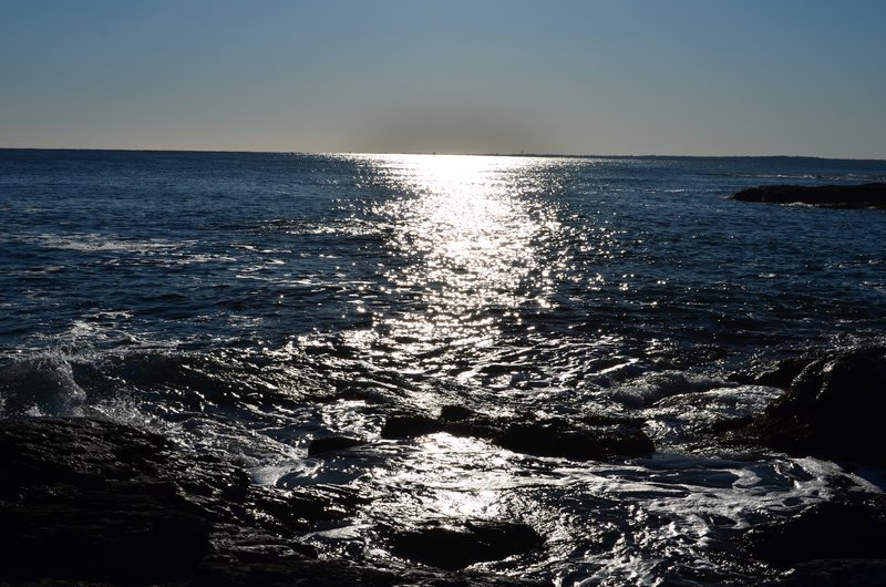 DSC_3081.jpg