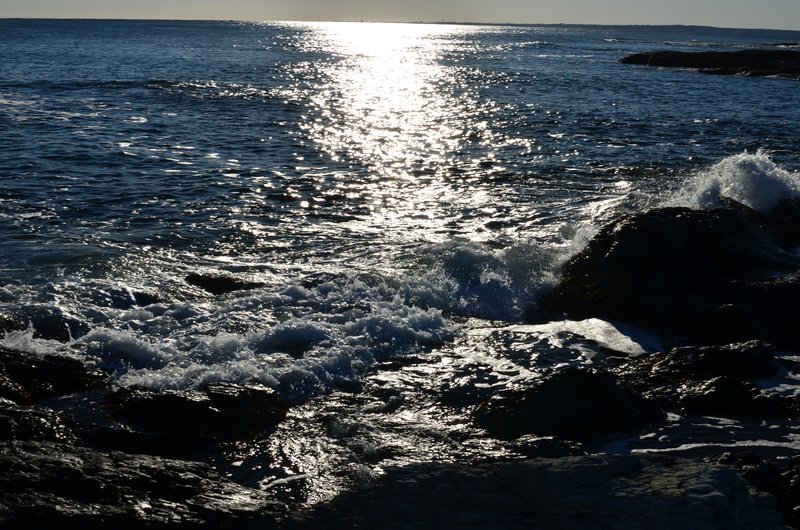DSC_3089.jpg