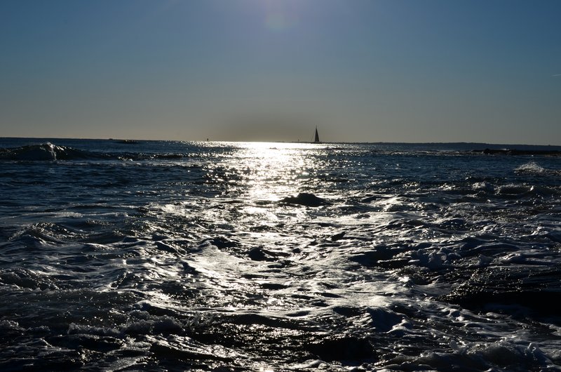 DSC_3110.jpg